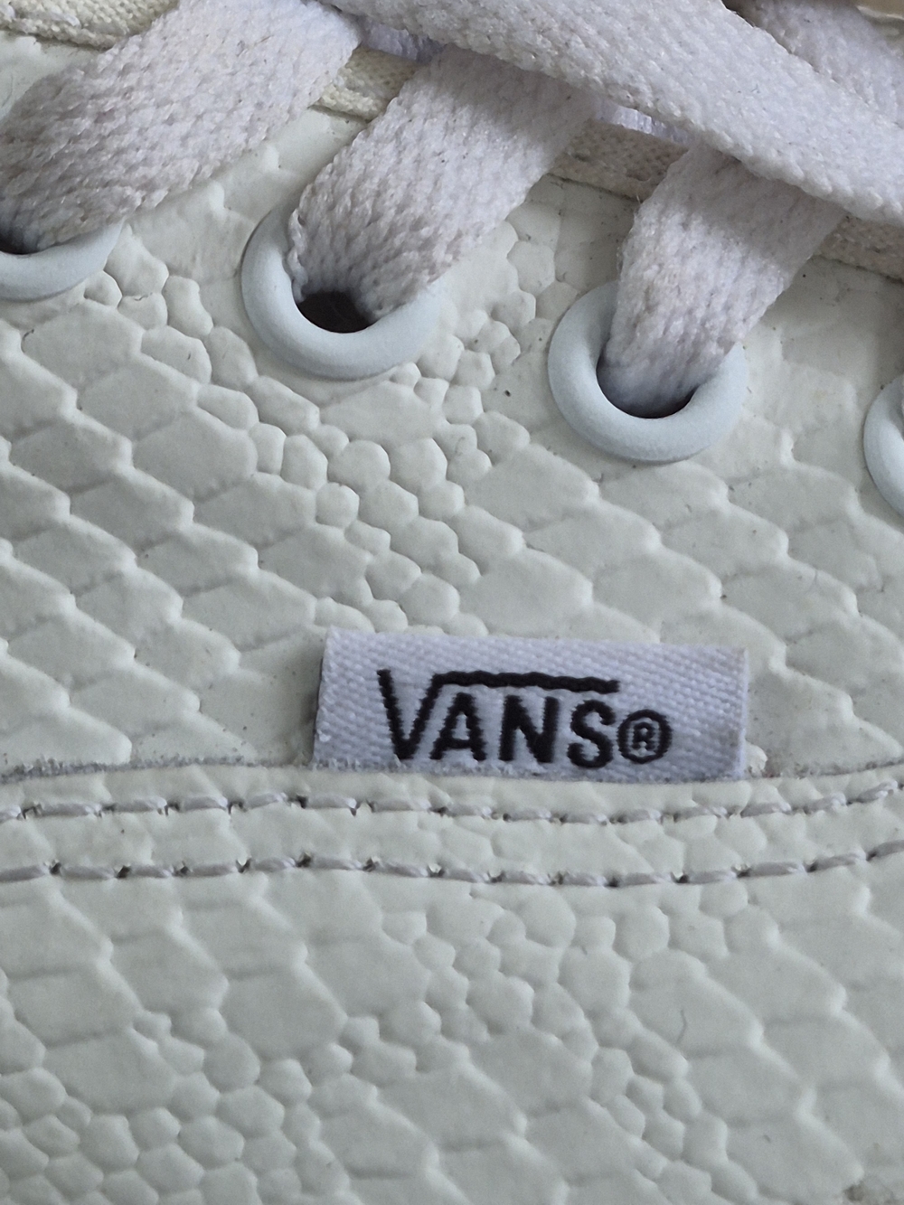 Vans - Picture 5 of 6